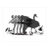 The Black Swan (Print Only) thumbnail
