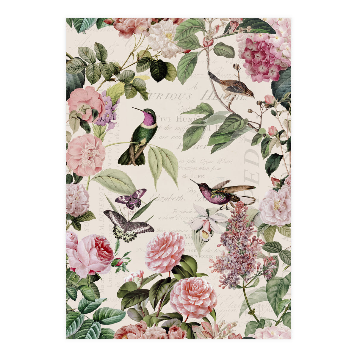 Hummingbirds And Roses (Print Only)