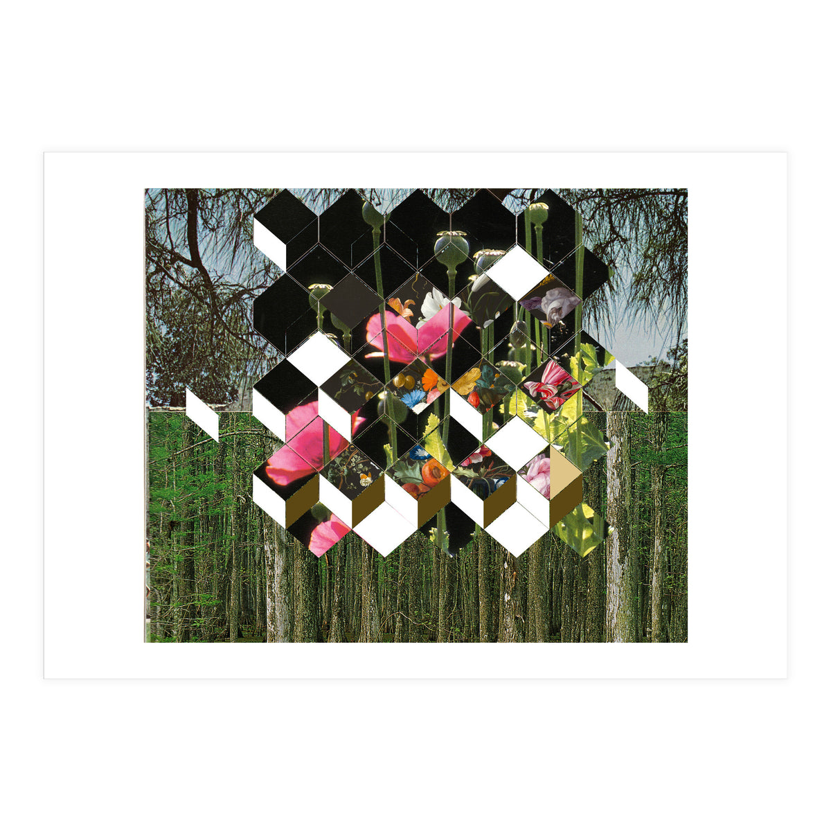 The Green (Print Only)