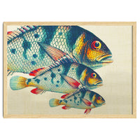 Fish Classic Designs 3