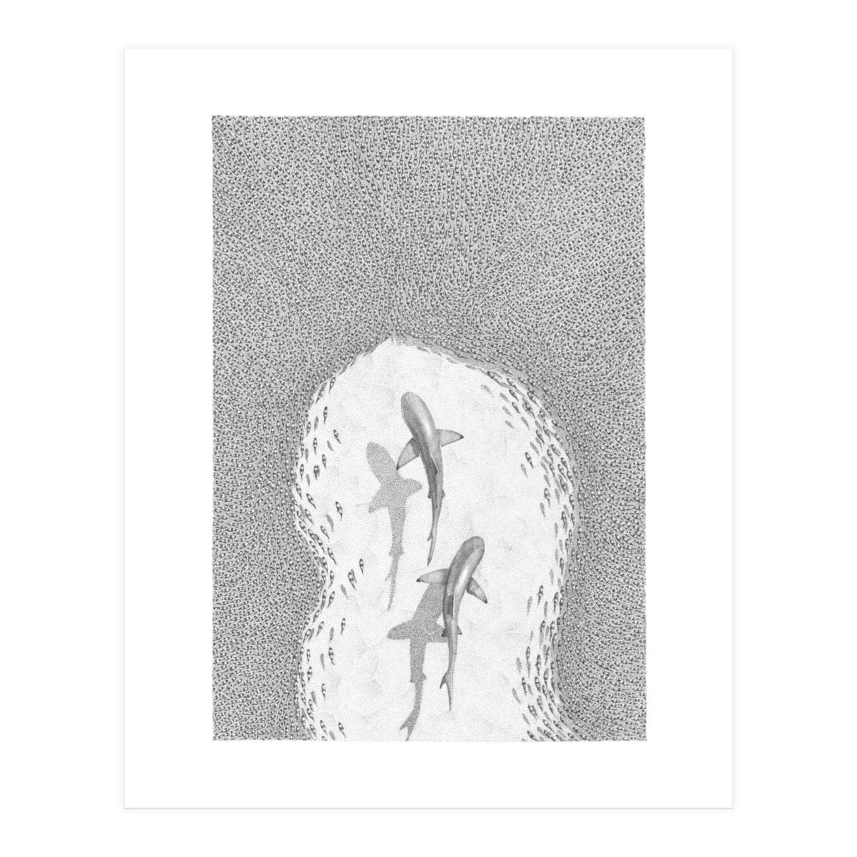 Strength in numbers (Print Only)