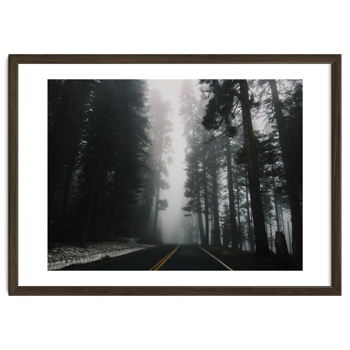 Foggy Yosemite