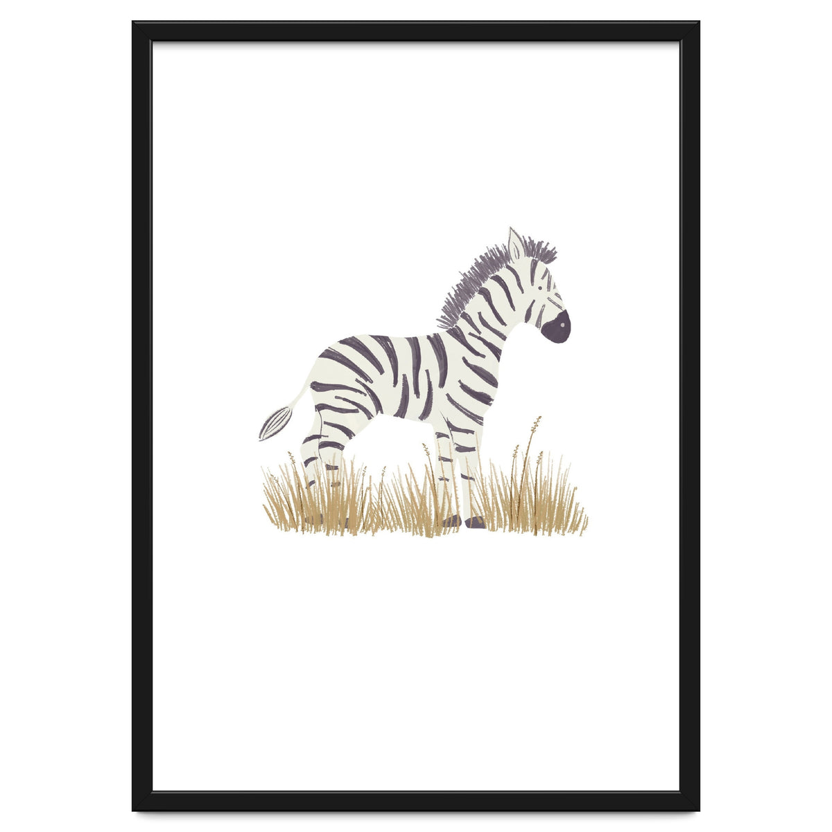 Zebra