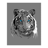 Sketch Tiger (Print Only) thumbnail
