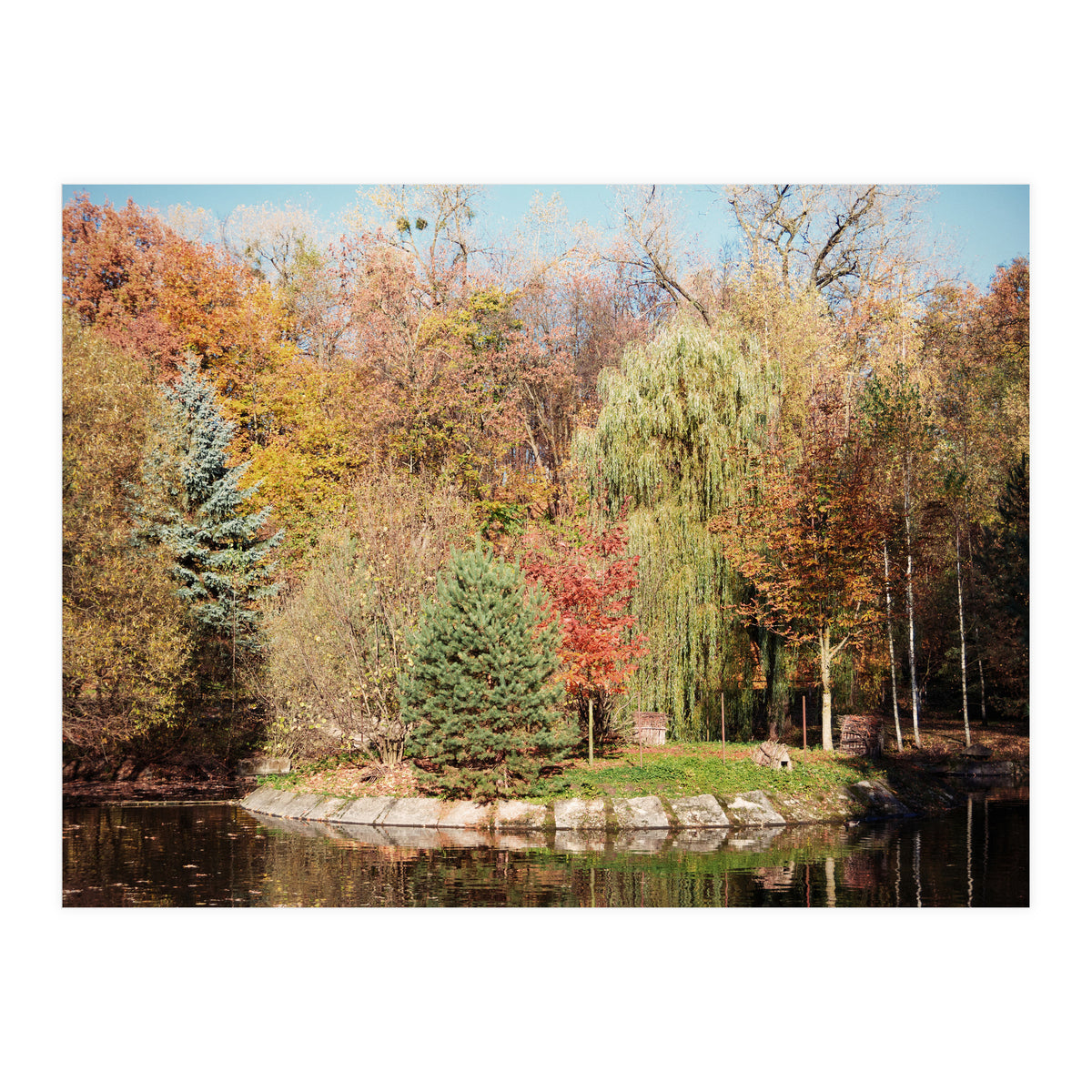 Transition from Summer to Winter (Print Only)