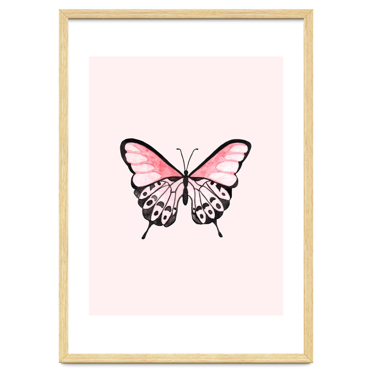 Pink Butterfly