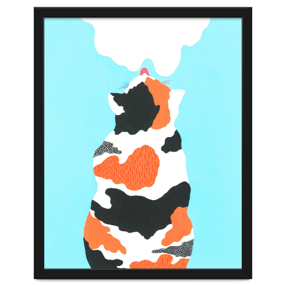 Tri Colored Calico Cat