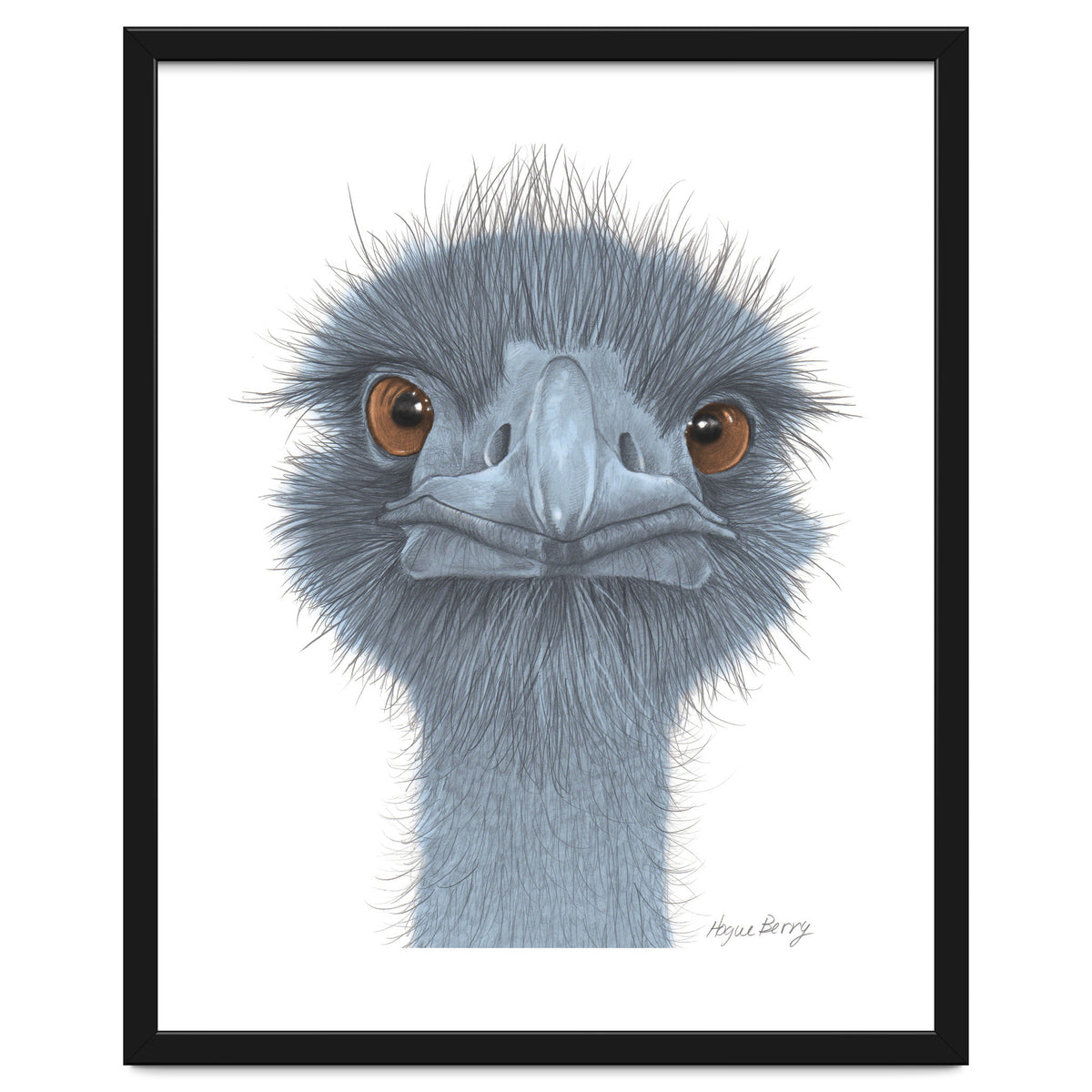 The Blue Emu