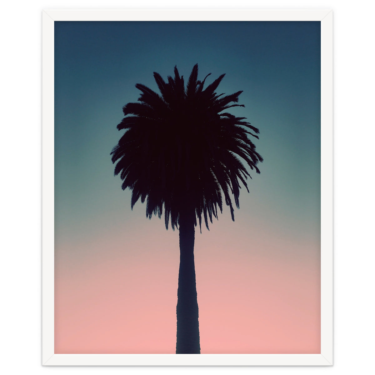 Sundown Palm