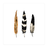 Earth Feather (Print Only) thumbnail