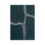 Afluentes 5 (Print Only) thumbnail