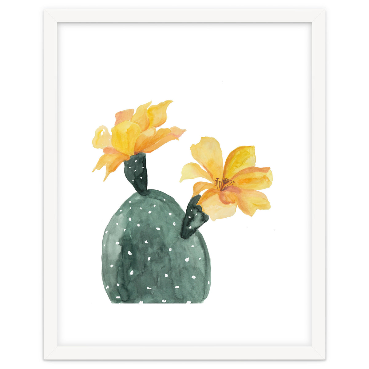 Botanical Illustration Yellow Cactus Flowers