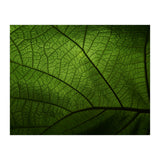 Macro (Print Only) thumbnail