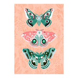 Lepidoptery No. 3 (Print Only) thumbnail