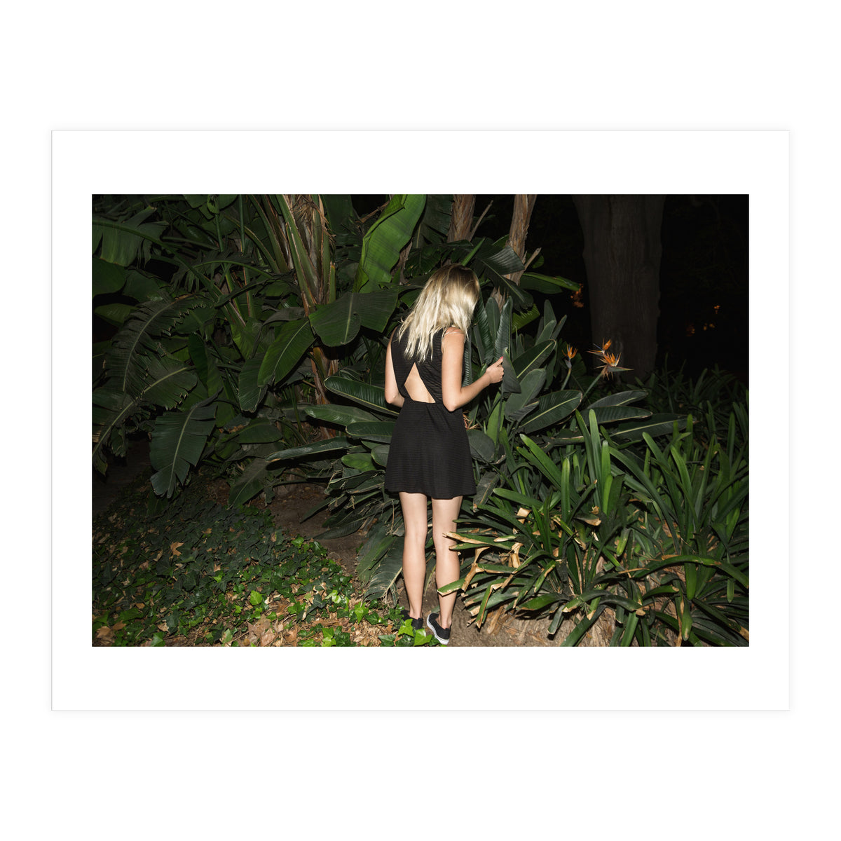 Hiding Game (Print Only)