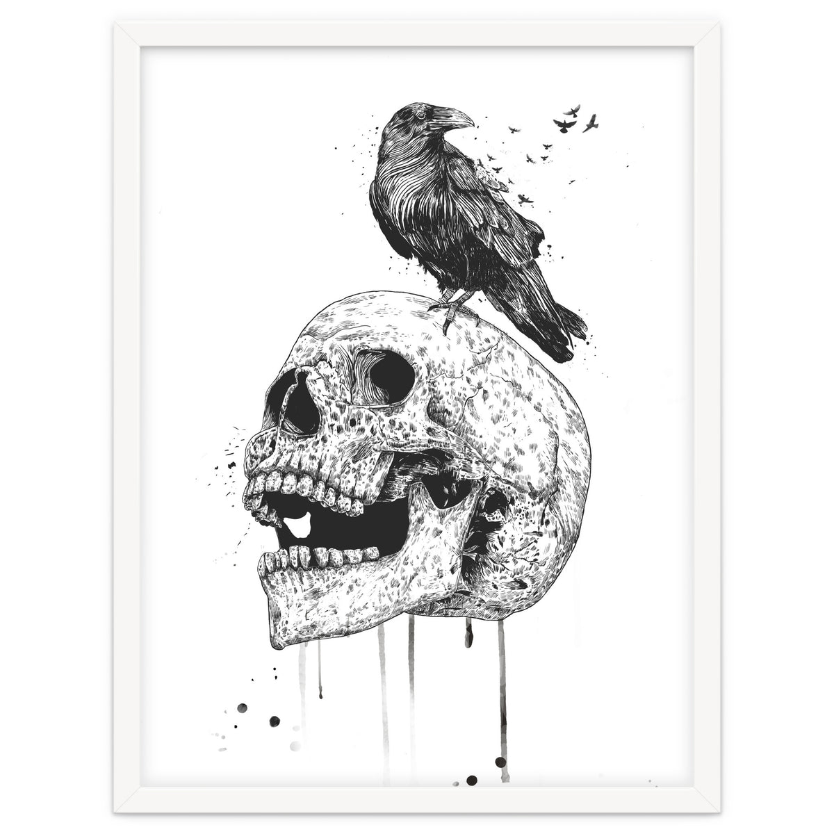 New Skull (bw)