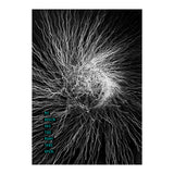 Mad Mind 1 (Print Only) thumbnail