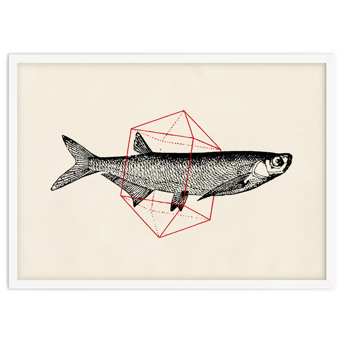 Fish In Geometrics II