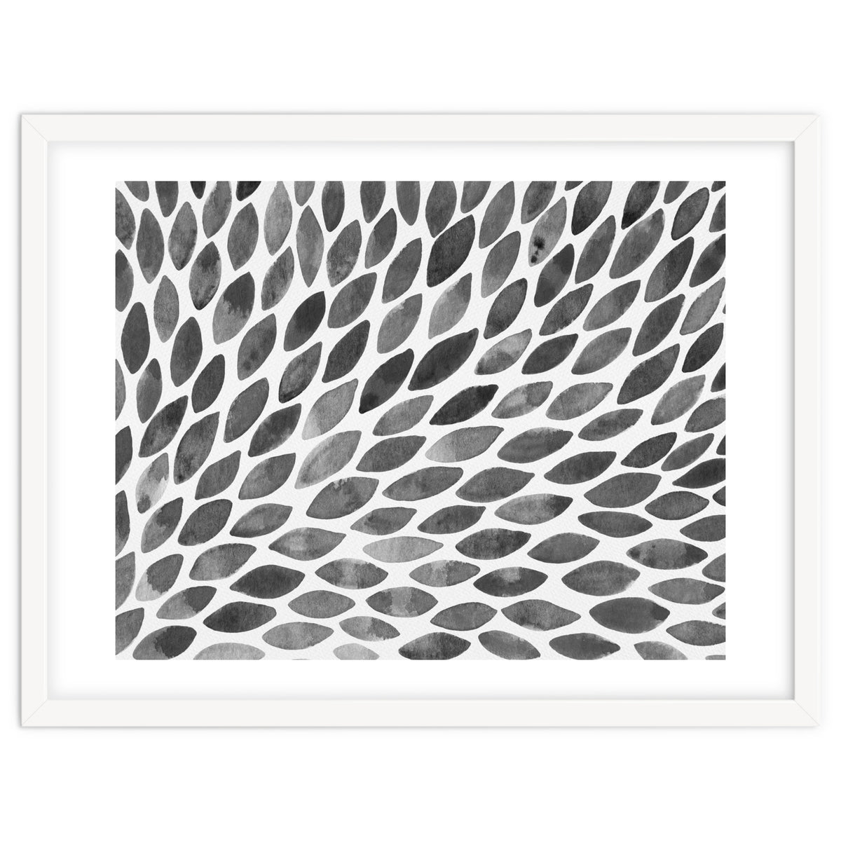 Black and white petal burst