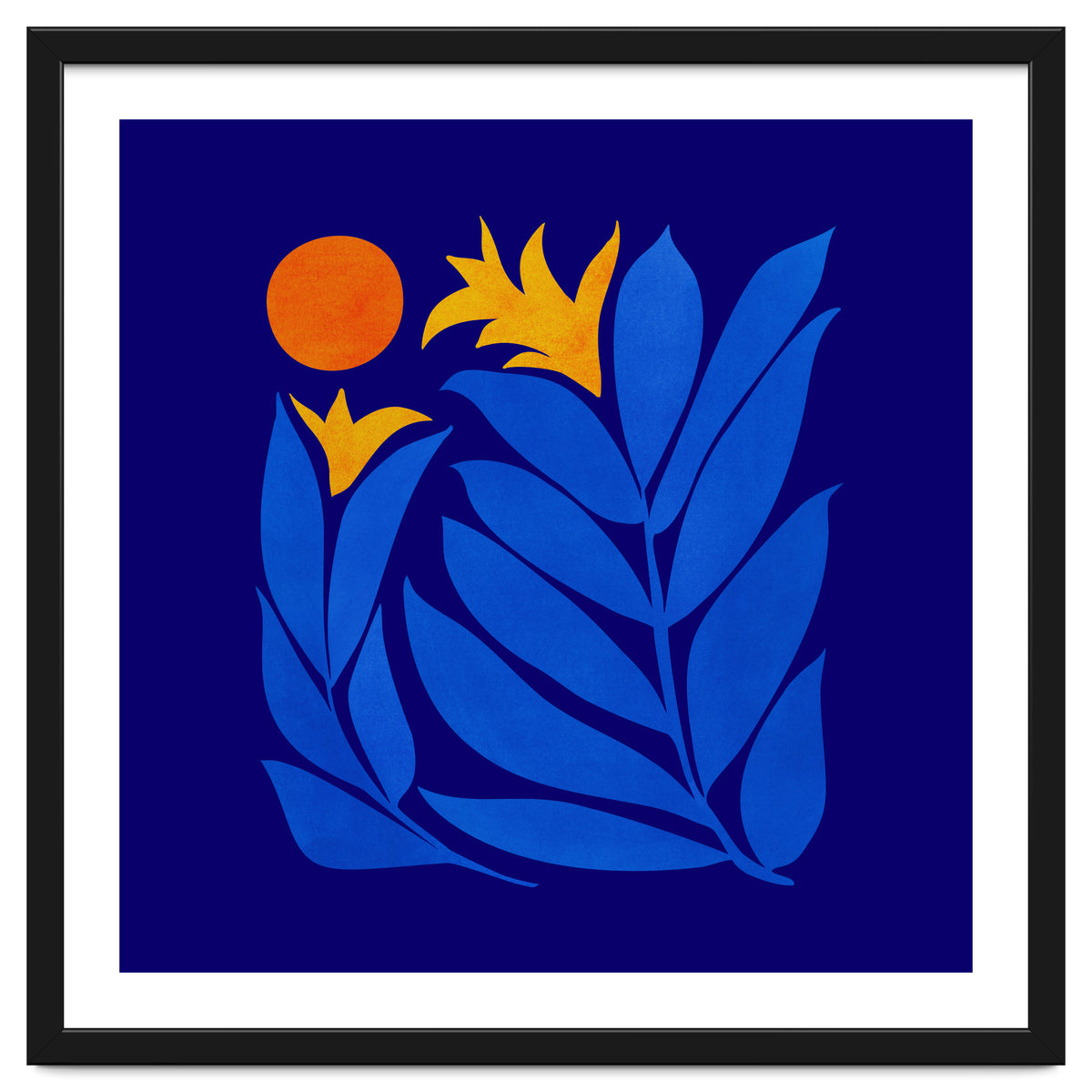 Community Garden At Night