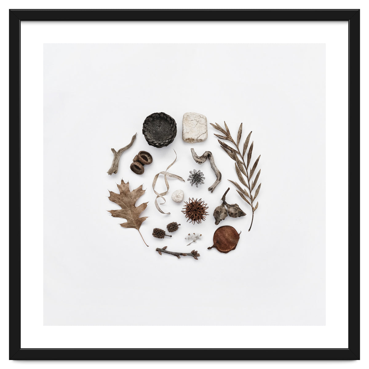 Treasures From Nature No. 2 - Square