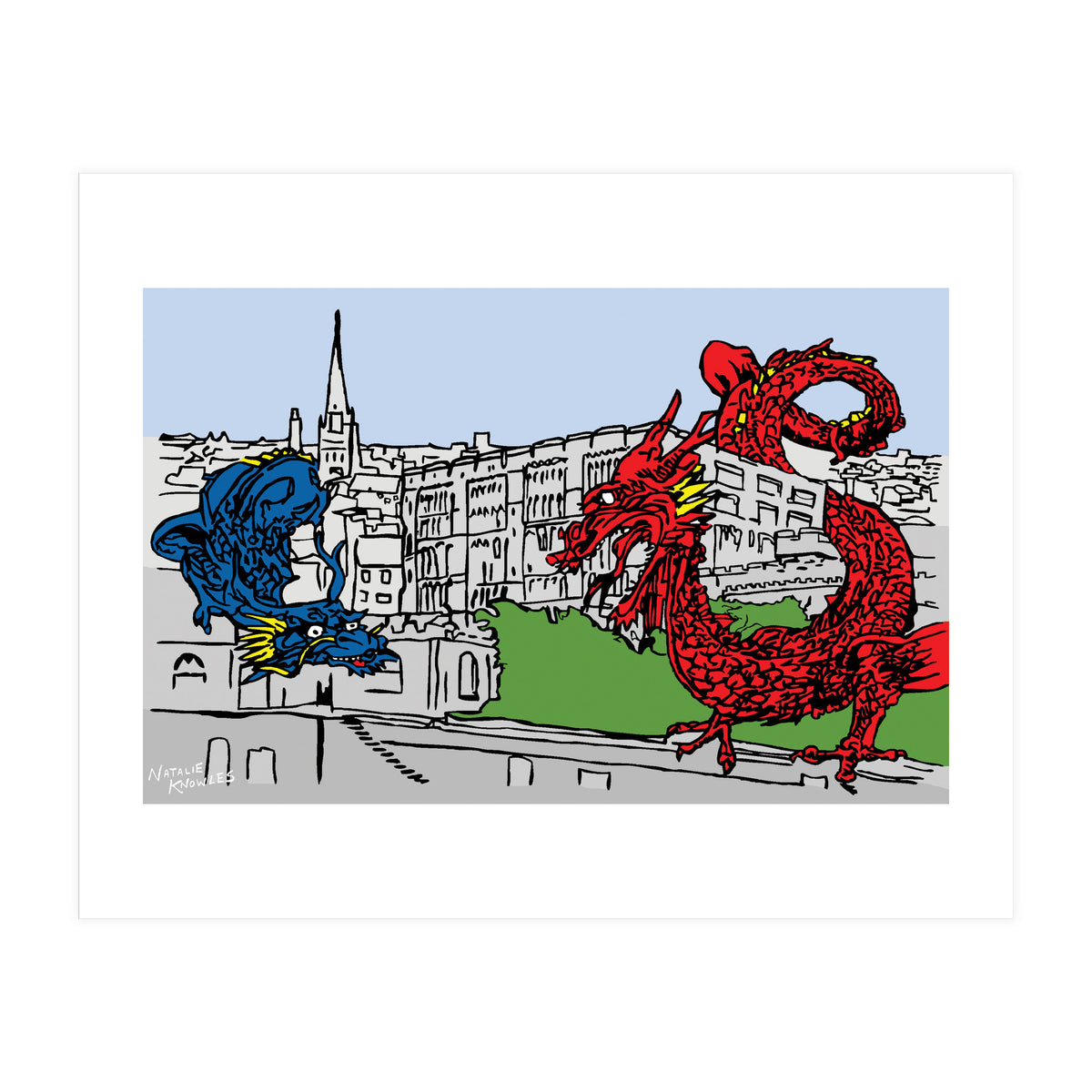 Norwich Dragons (Print Only)