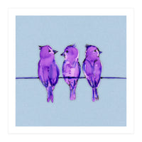 Three purple birds (Print Only)