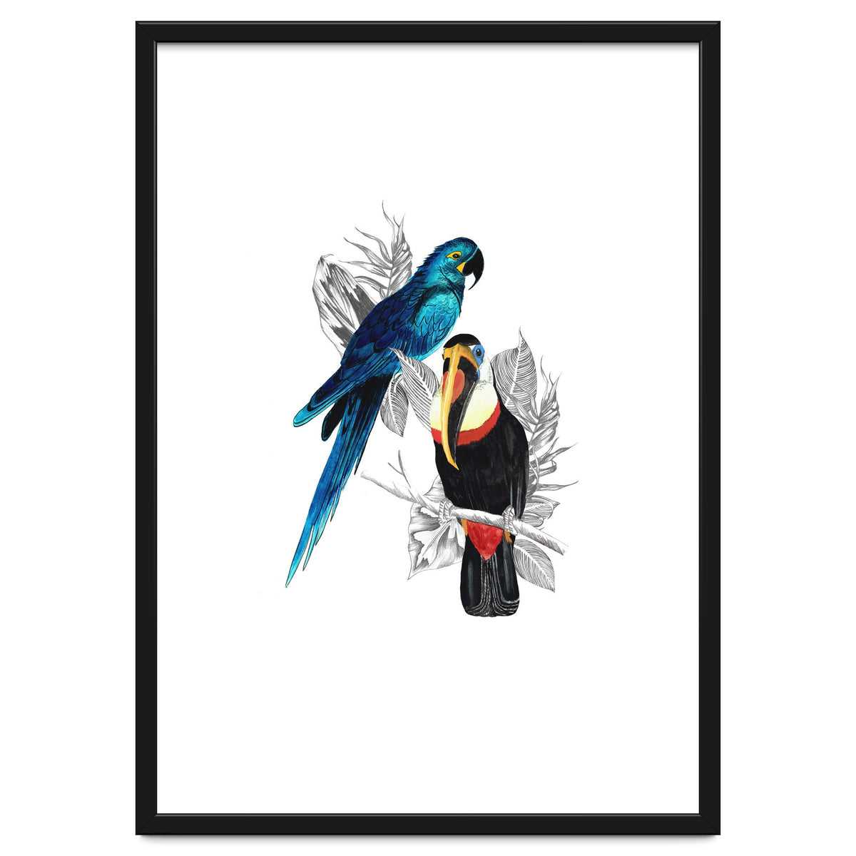 The Toucan and the Parrot