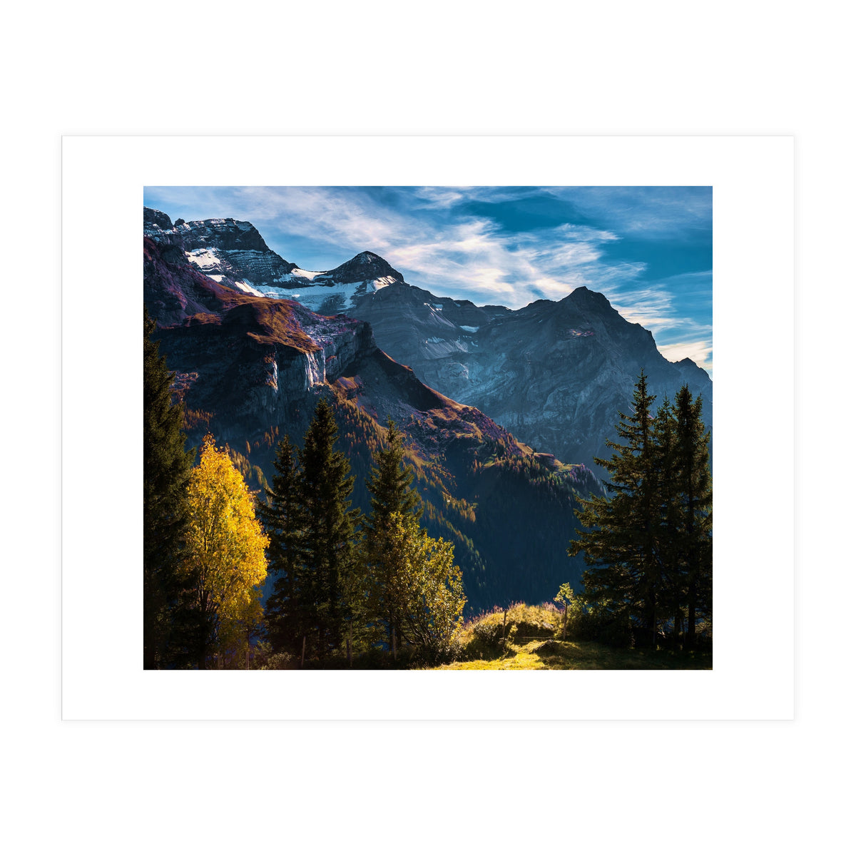 Nature SPIRIT (Print Only)