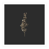 Gold Rush Botanicals - Square (Print Only) thumbnail