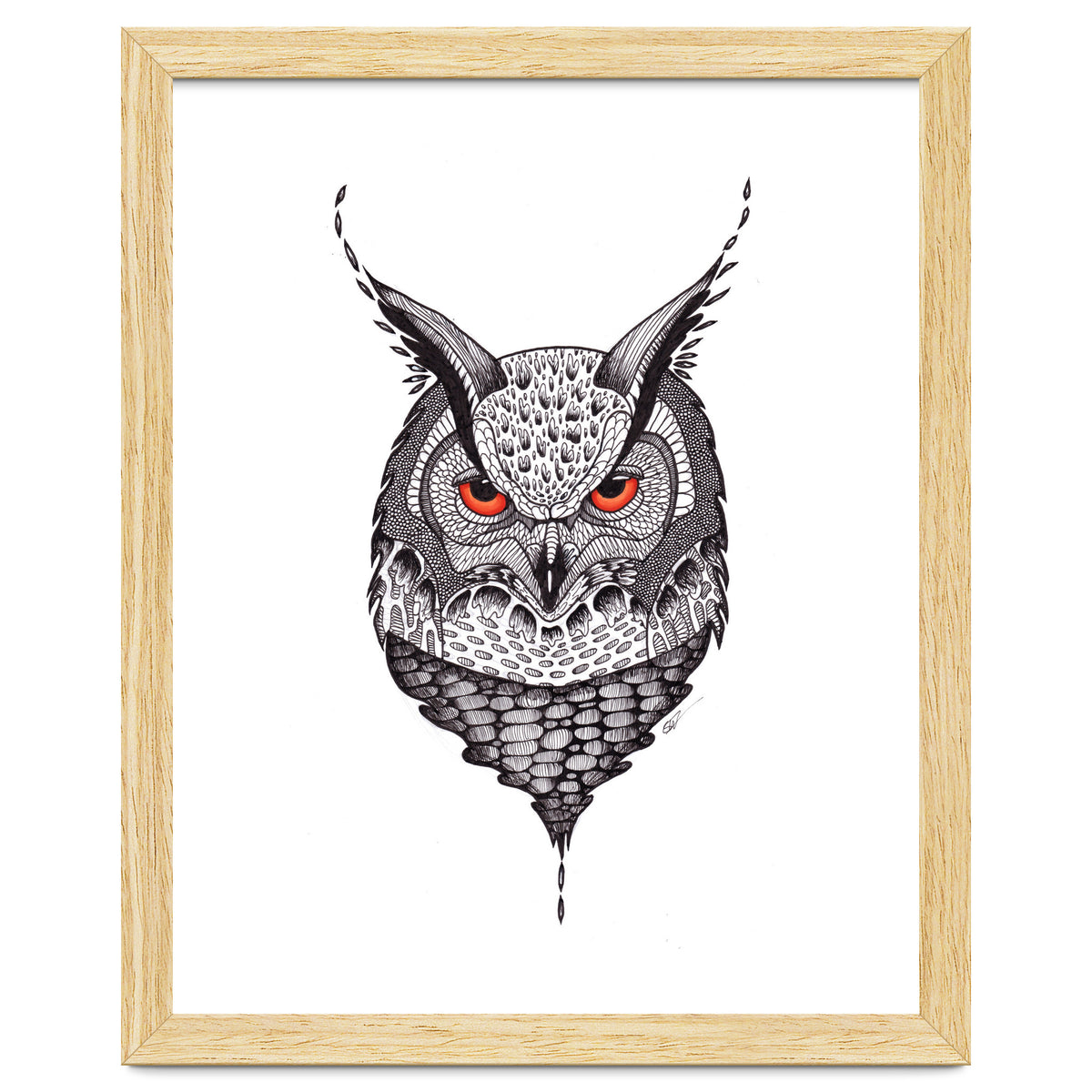 Owl