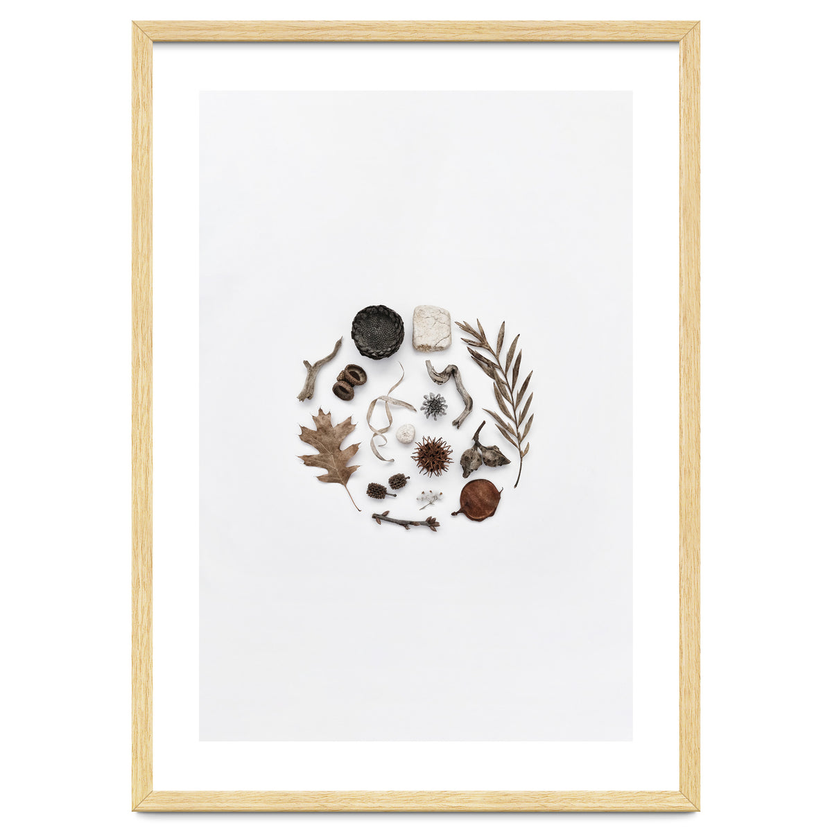 Treasures From Nature No. 2