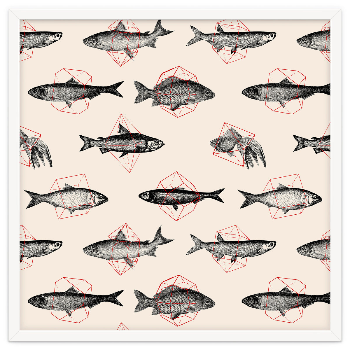 Fish In Geometrics