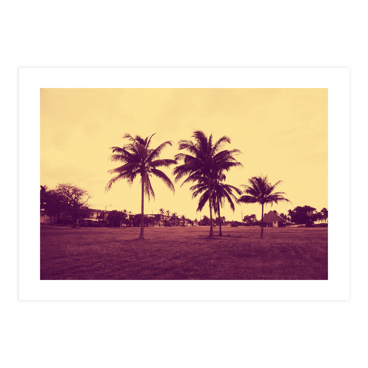 Palm Trees (Print Only)