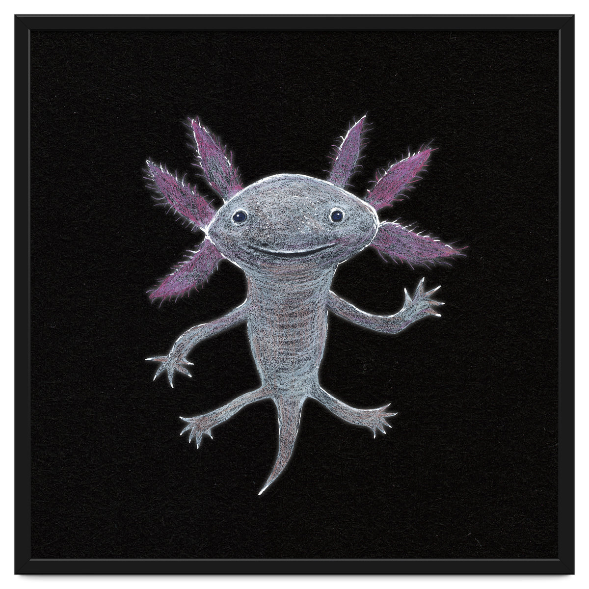 Axolotl