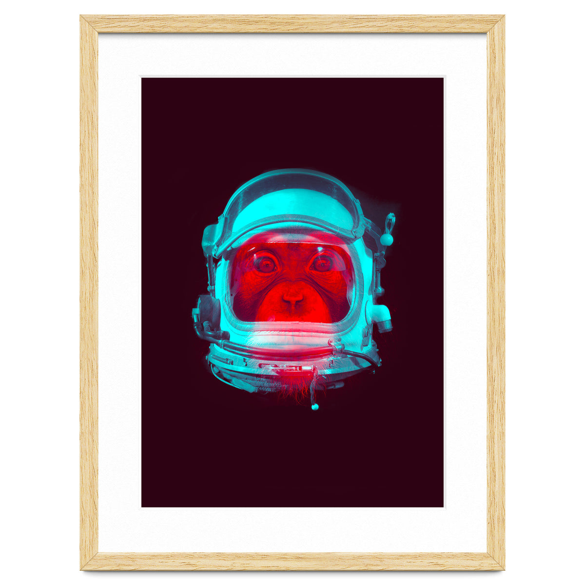 Astronaut