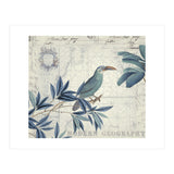 The Birds Voyage  (Print Only) thumbnail
