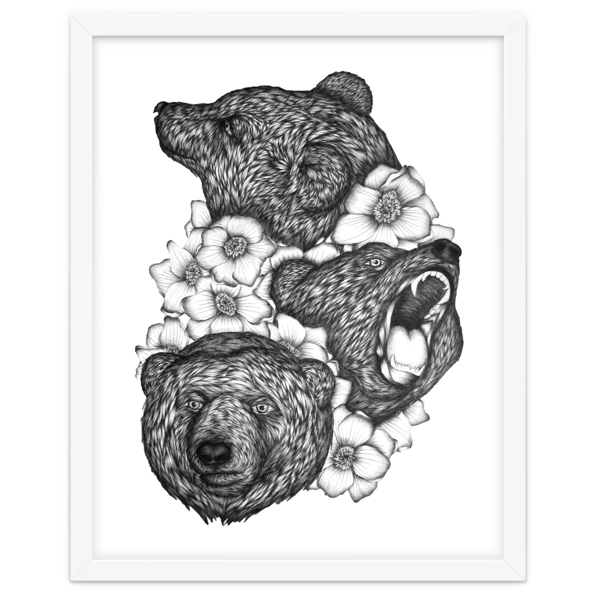Bears In Bears
