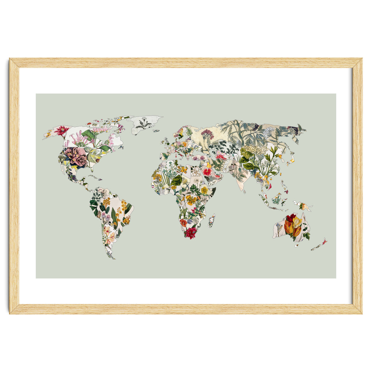 Vintage Botanical Map - Green