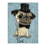 Pug, Gentle Pug (Print Only) thumbnail