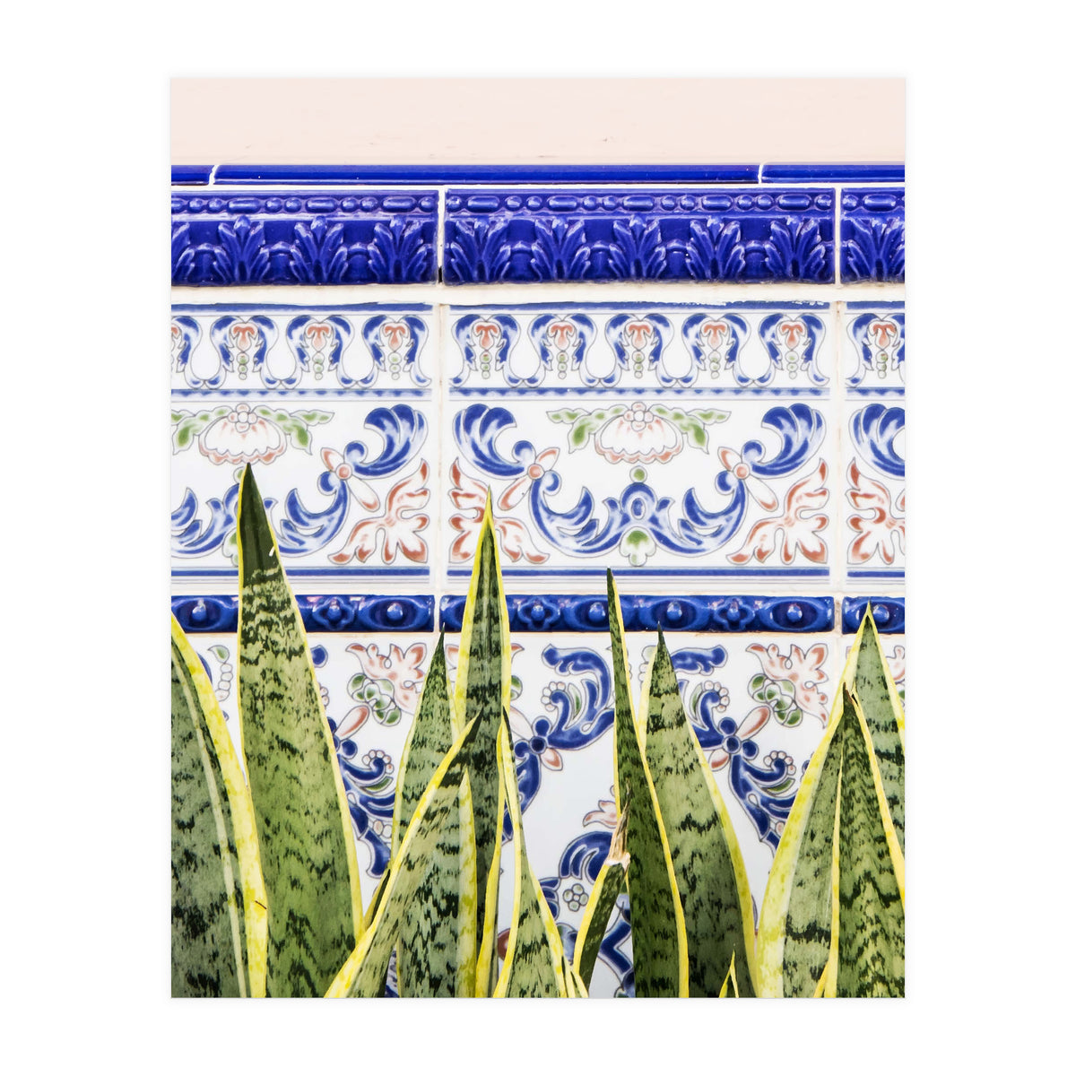 Moroccan Botany (Print Only)