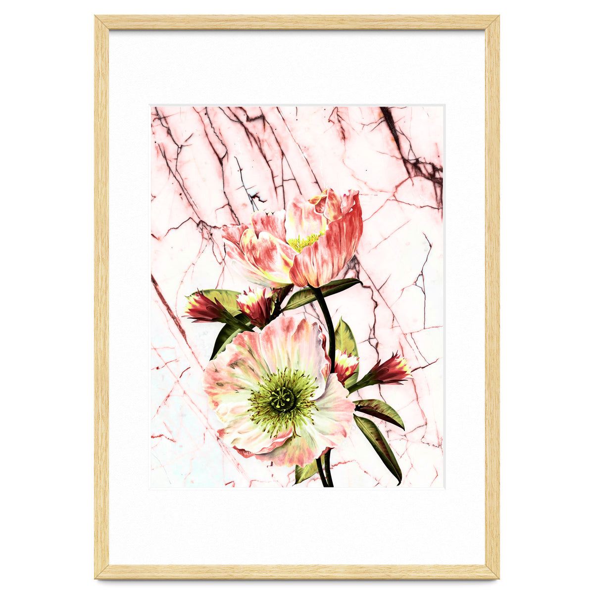 Flowering on pink marble