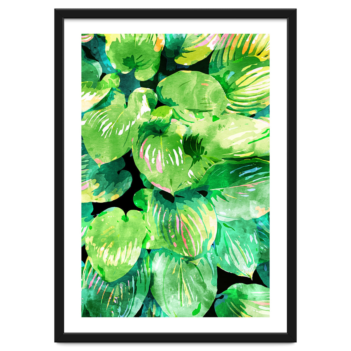 Colors Of The Jungle