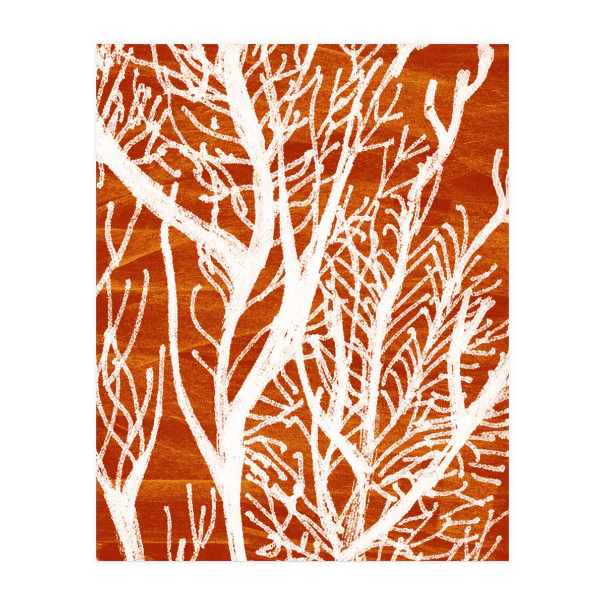 Desert Colours Collection 2 (Print Only)