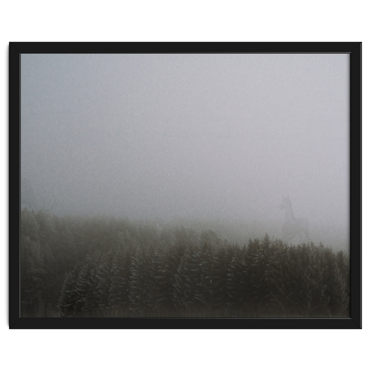 What the Hell did I just See?