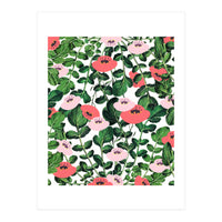 Parsnip & Poppies (Print Only)