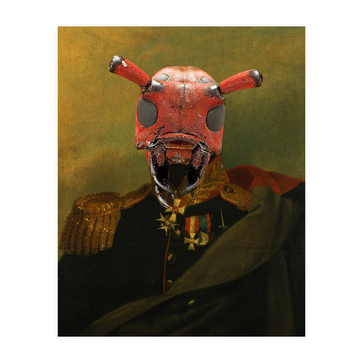 Bugged Out  (Print Only)