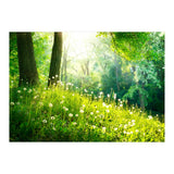 Nature (Print Only) thumbnail