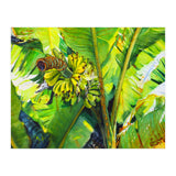Tropical Fruit (Print Only) thumbnail