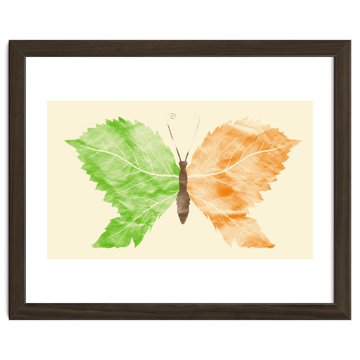 Seasons Change Time Flies